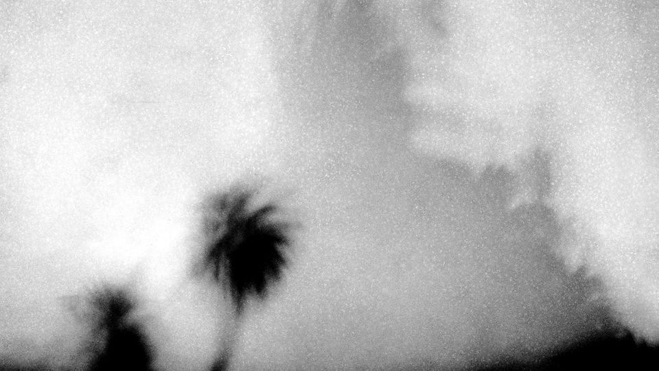 Verschwommene Schwarz-Weiß-Aufnahme von einem Horizont mit Palmen