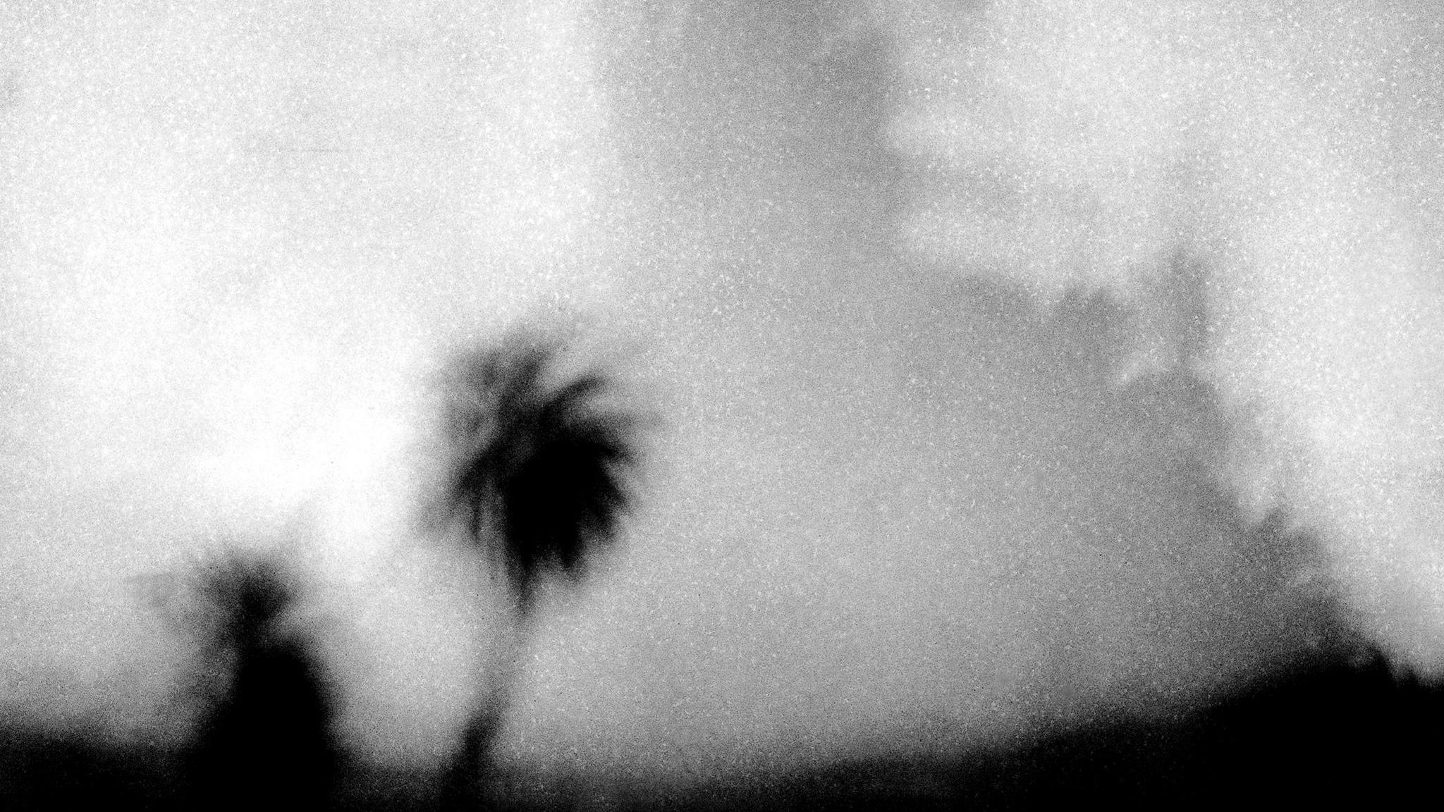 Verschwommene Schwarz-Weiß-Aufnahme von einem Horizont mit Palmen