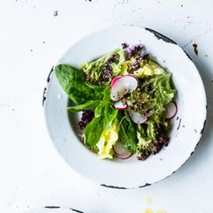 Frischer Blattsalat ist täglich Labsal für den Körper, mehr noch, wenn er als Träger für Vinaigrettes fungiert