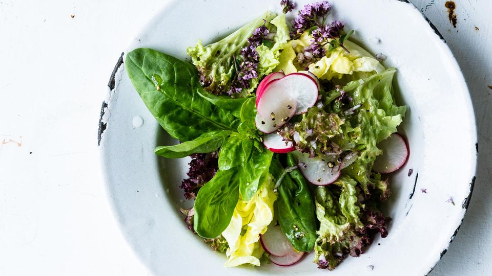 Frischer Blattsalat ist täglich Labsal für den Körper, mehr noch, wenn er als Träger für Vinaigrettes fungiert