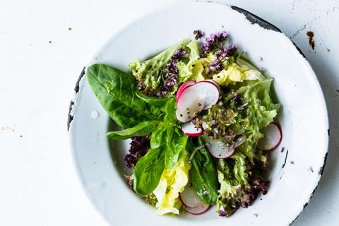 Frischer Blattsalat ist täglich Labsal für den Körper, mehr noch, wenn er als Träger für Vinaigrettes fungiert