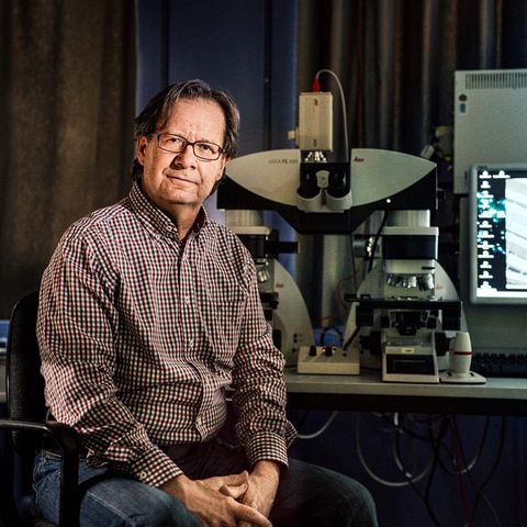 Michael Erdmann