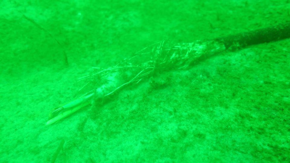 Das blieb noch übrig: Ein zerfasertes Unterwasserkabel