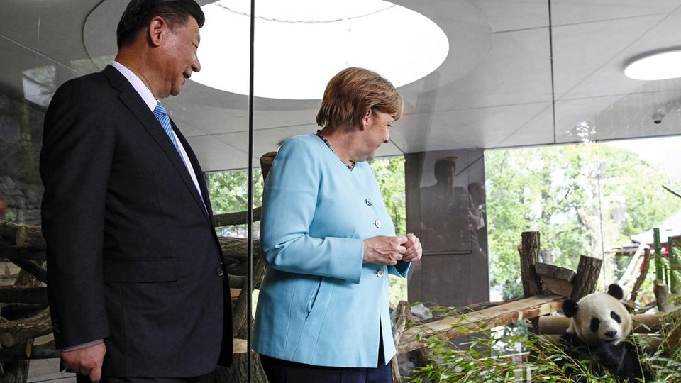 Um süße Tiere, wie hier bei der Einweihung eines Teils des Panda-Geheges im Berliner Zoo im Sommer 2017, wird es bei Angela Merkels Reise diesmal wohl nicht gehen. Links im Bild ist Chinas Staatspräsident Xi Jinping.