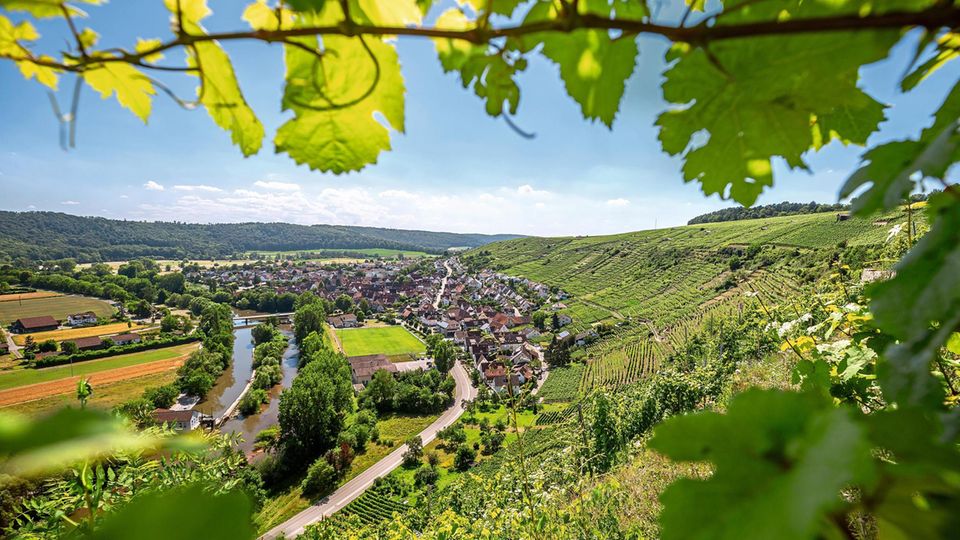 Ein idyllischer Blick ins Tal bei Roßwag. Die Hänge sind voller Weinreben