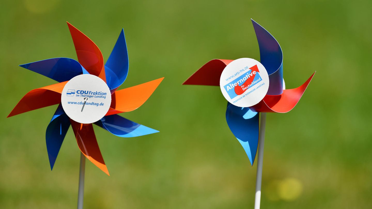 In Rheinland-Pfalz will eine CDU-Politikerin gegen den Willen ihrer Partei mit der AfD koalieren.