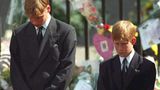 Prinzessin Diana Prinz William Prinz Harry
