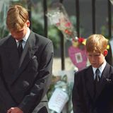 Prinzessin Diana Prinz William Prinz Harry