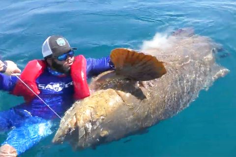 Angelnder Nichtschwimmer geht mit Riesenfisch baden