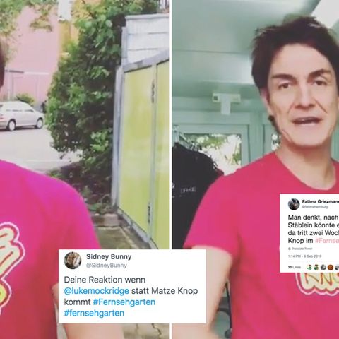 Collage: Matze Knopp mit Social Media Screenshots