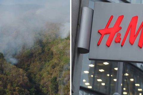 Collage: Waldbrand, H&M Logo