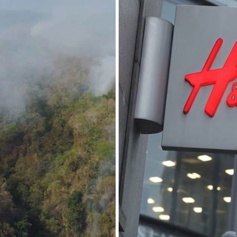 Collage: Waldbrand, H&M Logo