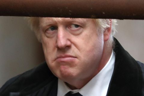 Boris Johnson schaut missmutig unter einer Gatterstange hervor