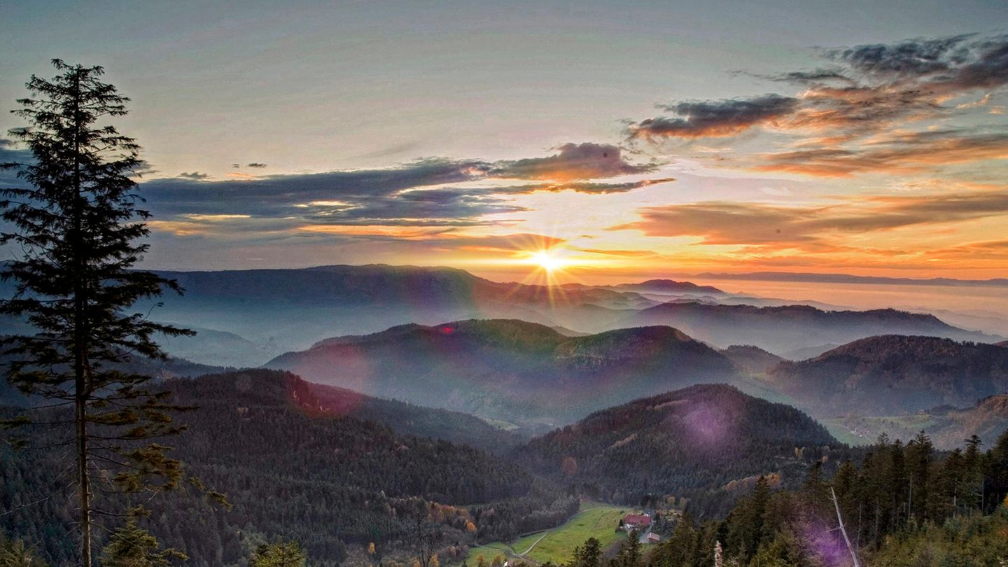 Ehrenamtlich als Ranger in Nationalparks