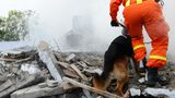 Ehrenamt - Spürhunde suchen in Trümmern nach Verschütteten