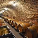 Arilds Vingård: Weinkeller mit Fässern