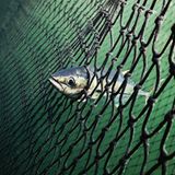 Bundeswehr-Tornado verlor Tank