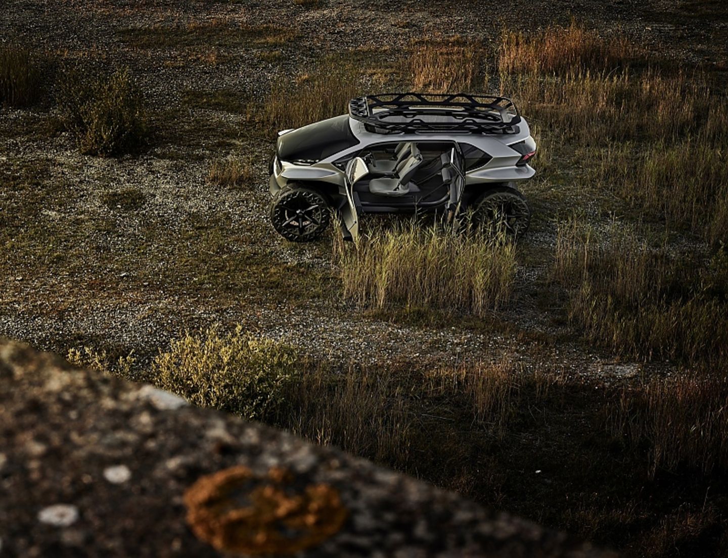 Audi AI:Trail