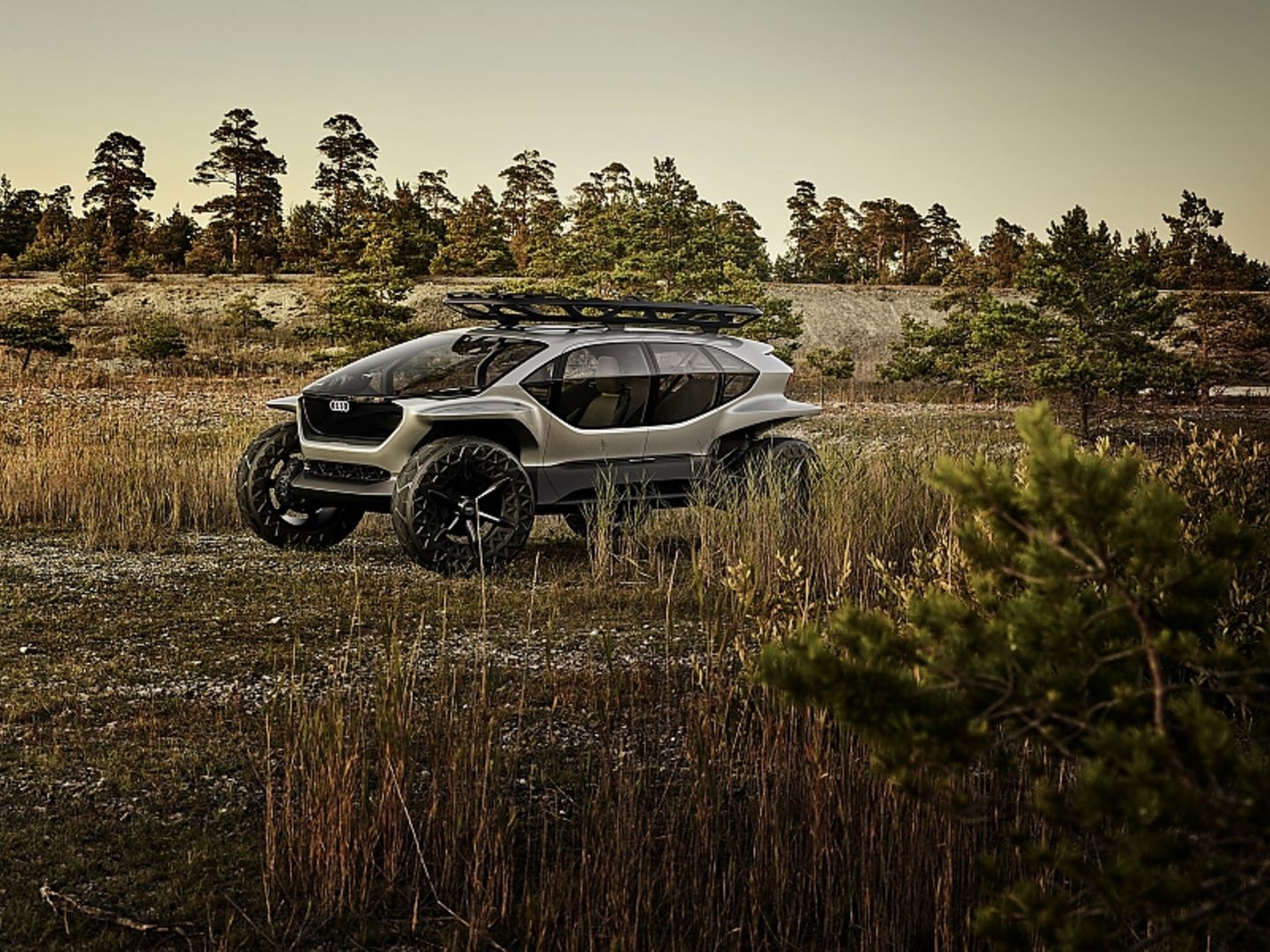 Audi AI:Trail