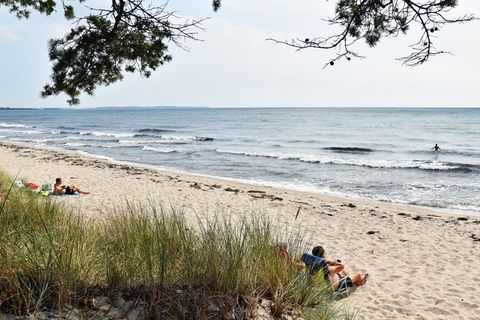 Östlich von Ystad: einer der endlosen Sandstrände hinter dem Kieferwald