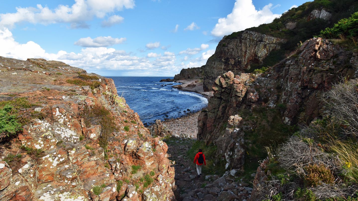 Buchten in Havs Hallar