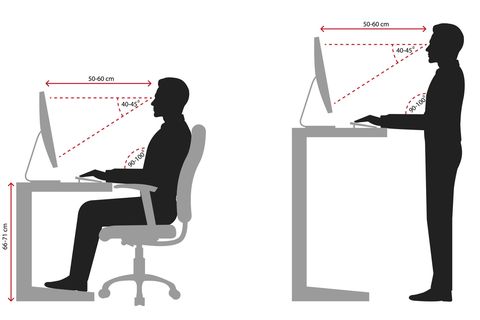 So arbeiten Sie im Sitzen und Stehen optimal