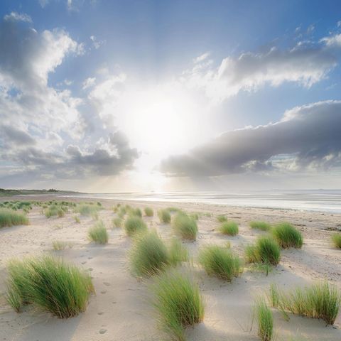 Strand von Nieblum