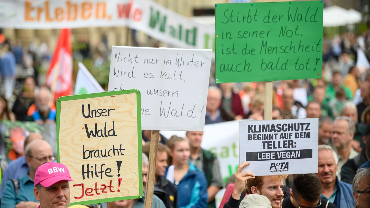 In Stuttgart weisen Demonstranten auf die Belastung der Wälder hin.