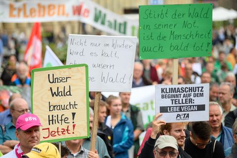 In Stuttgart weisen Demonstranten auf die Belastung der Wälder hin.