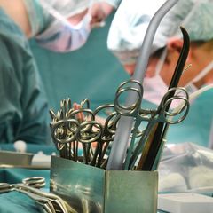 Organspende