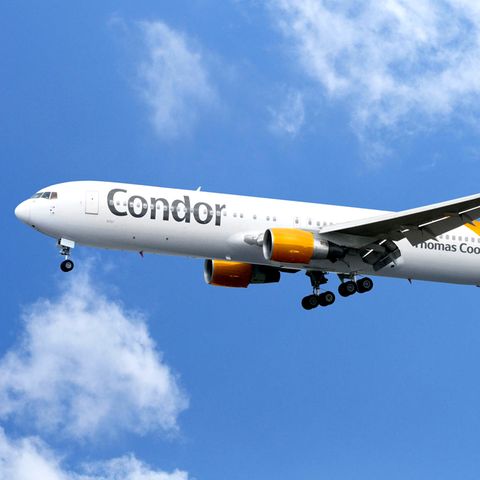 Eine Langstreckenmaschine der Ferienfluggsellschaft Condor (Symbolfoto)