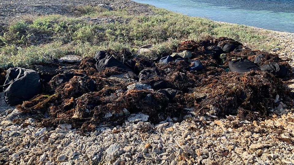 Säcke mit Kokain und Ecstasy liegen unter Seetang versteckt auf einer verlassenen westaustralischen Insel versteckt Säcke mit Kokain und Ecstasy liegen unter Seetang versteckt auf einer verlassenen westaustralischen Insel versteckt