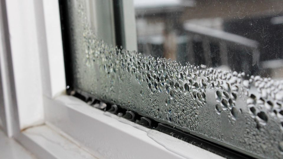 Im Winter sammelt sich Kondenswasser am Fenster