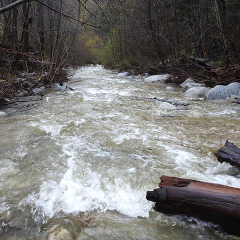 Der Arroyo Seco - spanisch für "trockener Fluss" - ist trotz seines Namens für seine reißenden Strömungen und seine Flutgefahr bekannt.
