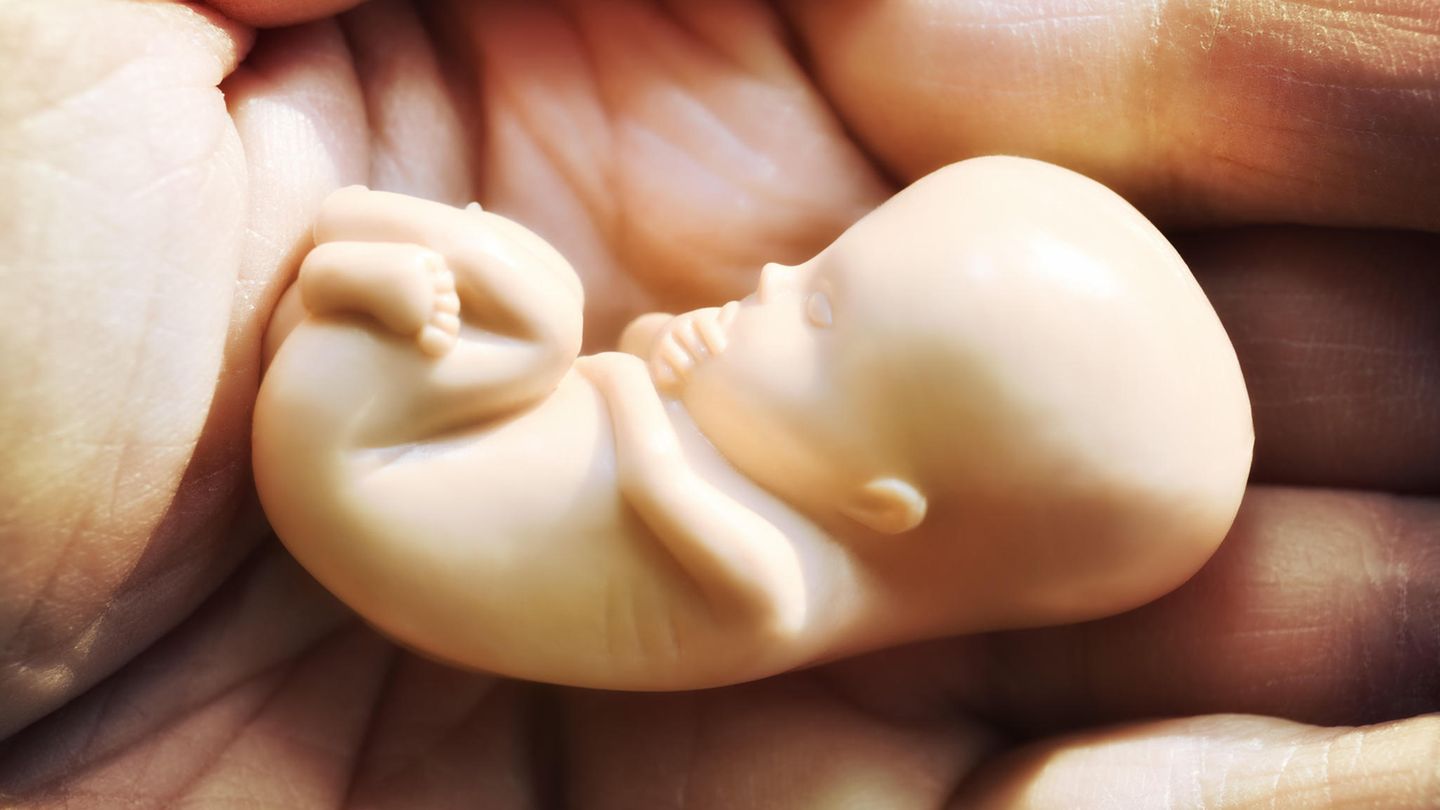 Ein aus Plastik modellierter Fötus in einer Hand