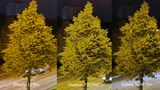 Dasselbe Bild, nun noch einmal digital vergrößert. Nun erkennt man, wie groß der Unterschied in puncto Details ist. Dabei achte man sowohl auf den Baum im Vorder- als auch das Hochhaus im Hintergrund. Interessantes Detail: Der Straßenbelag sieht auf jedem Bild anders aus. 