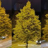 Dasselbe Bild, nun noch einmal digital vergrößert. Nun erkennt man, wie groß der Unterschied in puncto Details ist. Dabei achte man sowohl auf den Baum im Vorder- als auch das Hochhaus im Hintergrund. Interessantes Detail: Der Straßenbelag sieht auf jedem Bild anders aus. 