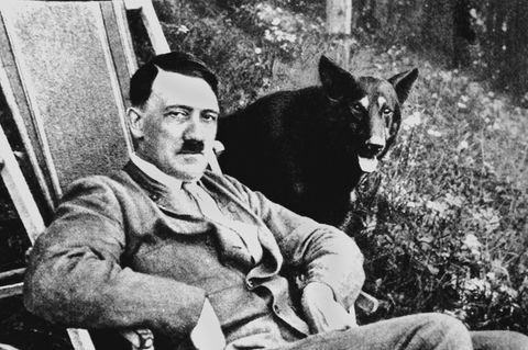 Adolf Hitler mit seinem Wolfshund