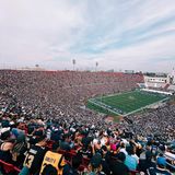 Profi-Fotograf: Diese Fotos machte Paul Ripke mit dem iPhone 11