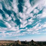 Profi-Fotograf: Diese Fotos machte Paul Ripke mit dem iPhone 11