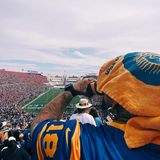 Profi-Fotograf: Diese Fotos machte Paul Ripke mit dem iPhone 11