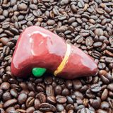 Kaffee ist gut für die Leber