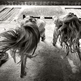 In einem visuellen Tagebuch hält Laboile die Kindheit seiner Sprösslinge fest und ...