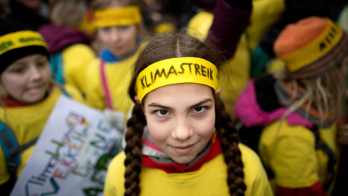 Damit auch jeder weiß, warum sie auf die Straße geht: Auch dieses Mädchen streikt fürs Klima. 