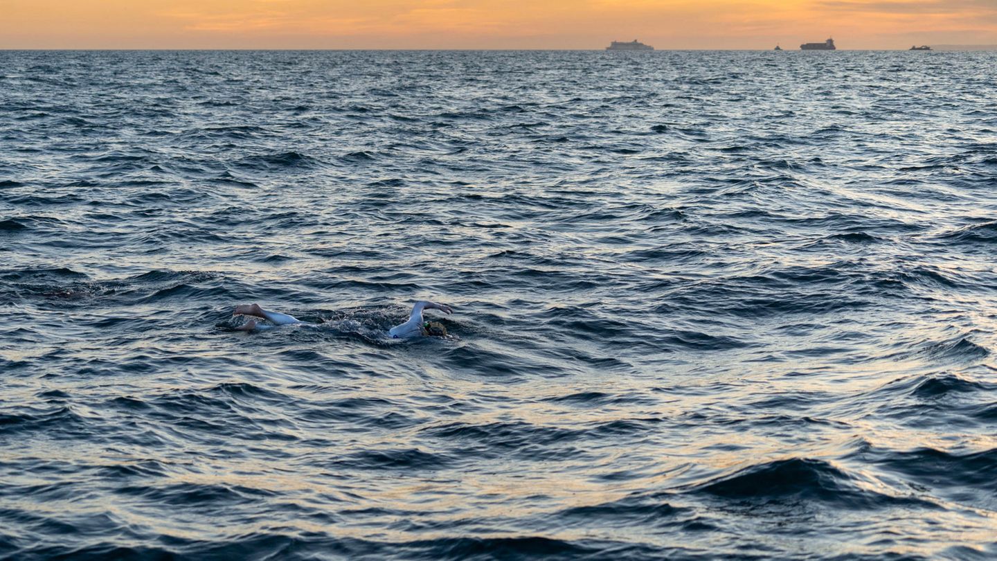 Armelkanal Frau Durchschwimmt Ihn Vier Mal Ohne Pause Stern De