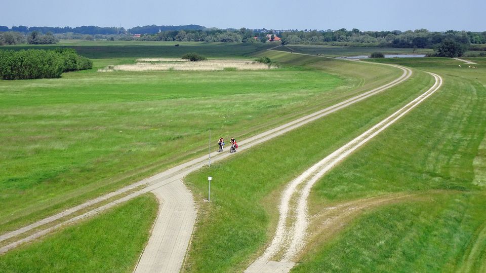 Radfahrer auf dem Elbdeich Radfahrer auf dem Elbdeich