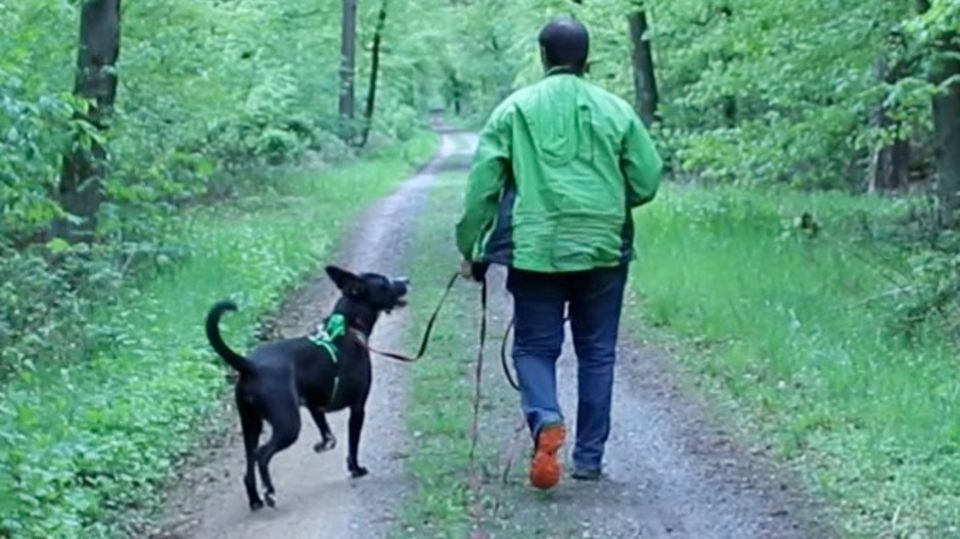 Zoophilie: Torben liebt seinen Hund, aber ist es wirklich Liebe?
