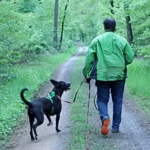 Zoophilie: Torben liebt seinen Hund, aber ist es wirklich Liebe?