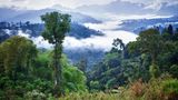 Ecuador  Im vergleichsweisen kleinen südamerikanischen Staate an der Pazifikküste werden Arabica- und Robusta-Sorten angebaut. Die besten Qualitäten kommen aus dem Hochland der Anden, das zu den höchsten Anbaugebieten der Welt zählt. Die Kaffeebohnen ergeben einen milden, meist ausgewogen Kaffee mit einer leicht bitteren Note. Ecuadorkaffee wird hauptsächlich für Mischungen verwendet, weil die Qualität der Ernten stark schwankt.