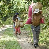 Guatemala  Steht auf der Kaffeepackung "Guatemala", ist das durchaus ein Qualitätsversprechen. Die Hochlandbohnen von den Berghängen der Sierra Madre zählen mit ihrem vollmundigen, leicht rauchigen Geschmack und der sehr feinen Säure zu den Gourmetkaffees. Das bekannteste Anbaugebiet ist Antigua und Coban. An den Hängen des Vulkans Atitlan erinnern die etwa drei Meter hohen Kaffeebäume an dichte Bergwälder. Antiguakaffee hat einen hohen Säureanteil und ist würzig im Geschmack. Der Kaffeeanbau ist der wichtigste Teil der Landwirtschaft des Landes. Rund 270.000 Hektar werden für den Anbau von Kaffeebohnen genutzt. Kaffee aus Guatemala ist außergewöhnlich vielfältig, da er in sehr unterschiedlichen Klimazonen angebaut wird.
